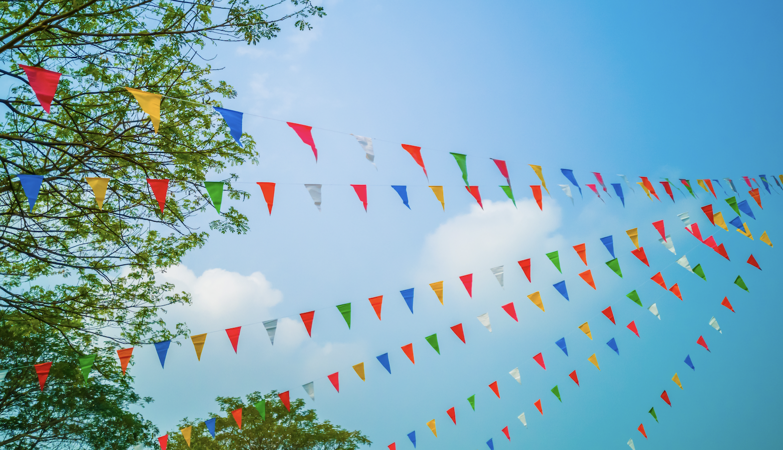 年間カレンダー