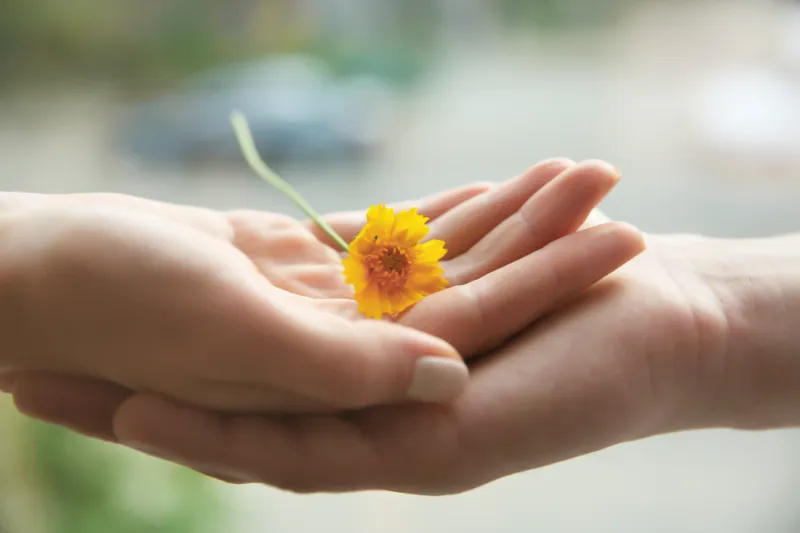 supportinghands.webp